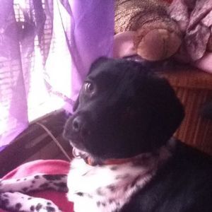 Meet your Posher, Patricia